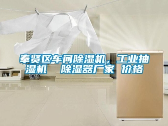 企業新聞奉賢區車間除濕機，工業抽濕機  除濕器廠家 價格