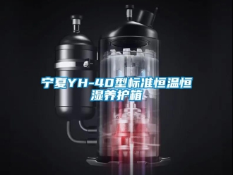 知識百科寧夏YH-40型標準恒溫恒濕養護箱