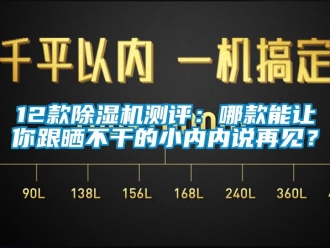 企業新聞12款除濕機測評：哪款能讓你跟曬不干的小內內說再見？