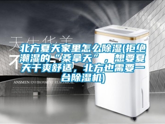 企業新聞北方夏天家里怎么除濕(拒絕潮濕的“桑拿天”，想要夏天干爽舒適，北方也需要一臺除濕機)