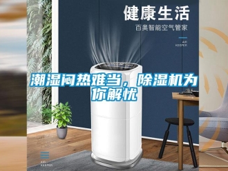企業(yè)新聞潮濕悶熱難當，除濕機為你解憂
