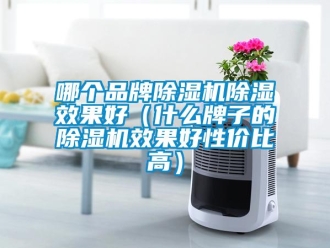企業(yè)新聞哪個(gè)品牌除濕機(jī)除濕效果好（什么牌子的除濕機(jī)效果好性價(jià)比高）