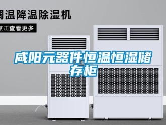 知識(shí)百科咸陽元器件恒溫恒濕儲(chǔ)存柜