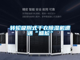 知識百科轉(zhuǎn)輪吸附式干衣除濕機遭遇“尷尬”