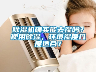 行業(yè)新聞除濕機(jī)確實(shí)能去濕嗎？使用除濕，環(huán)境濕度幾度適合？