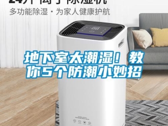 企業(yè)新聞地下室太潮濕！教你5個防潮小妙招