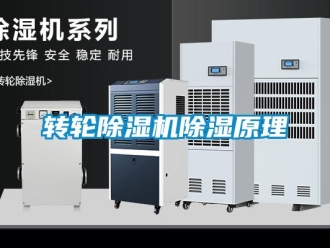 知識百科轉輪除濕機除濕原理
