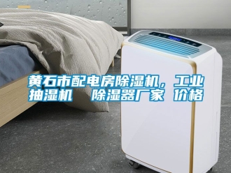 企業新聞黃石市配電房除濕機，工業抽濕機  除濕器廠家 價格