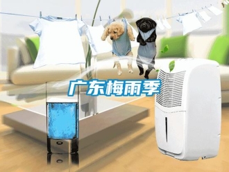 行業新聞廣東梅雨季
