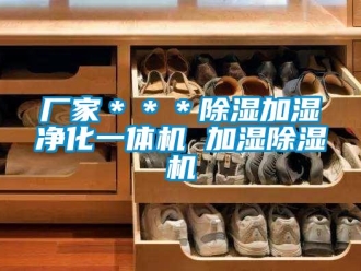 企業(yè)新聞廠家＊＊＊除濕加濕凈化一體機 加濕除濕機