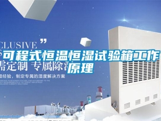 知識(shí)百科可程式恒溫恒濕試驗(yàn)箱工作原理