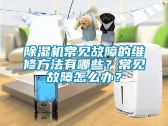 企業(yè)新聞除濕機常見故障的維修方法有哪些？常見故障怎么辦？