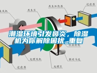 企業新聞潮濕環境引發鼻炎，除濕機為你解除困擾_重復
