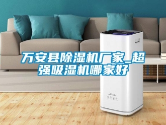企業(yè)新聞萬安縣除濕機(jī)廠家_超強(qiáng)吸濕機(jī)哪家好
