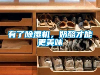 知識百科有了除濕機(jī)，奶酪才能更美味