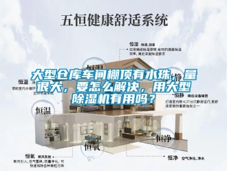 企業新聞大型倉庫車間棚頂有水珠，量很大，要怎么解決，用大型除濕機有用嗎？