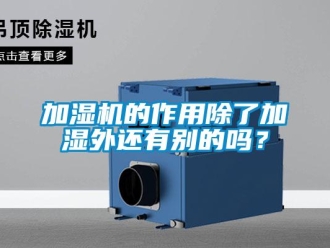 常見問題加濕機的作用除了加濕外還有別的嗎？