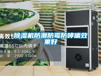 企業新聞除濕機防潮防霉防哮喘效果好
