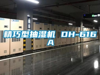 企業(yè)新聞精巧型抽濕機 DH-616A