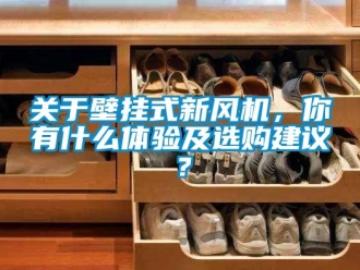 企業新聞關于壁掛式新風機，你有什么體驗及選購建議？