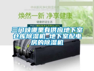 企業(yè)新聞三門峽哪里有供應(yīng)地下室倉庫除濕機(jī)_地下室配電房的除濕機(jī)