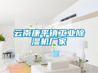 企業(yè)新聞云南康平鎮(zhèn)工業(yè)除濕機(jī)廠家