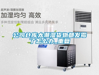 企業新聞公司倉庫太潮濕貨物都發霉了怎么辦_重復
