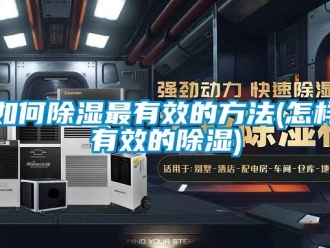 企業(yè)新聞如何除濕最有效的方法(怎樣有效的除濕)