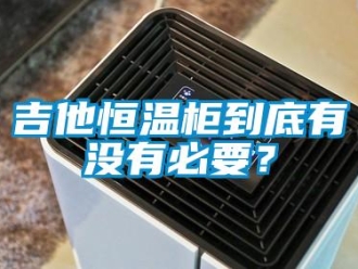 知識百科吉他恒溫柜到底有沒有必要？