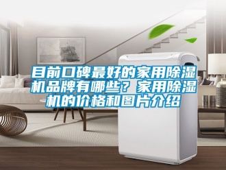 企業(yè)新聞目前口碑最好的家用除濕機(jī)品牌有哪些？家用除濕機(jī)的價(jià)格和圖片介紹
