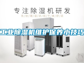 企業(yè)新聞工業(yè)除濕機(jī)維護(hù)保養(yǎng)小技巧