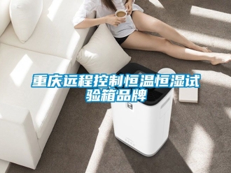 知識百科重慶遠(yuǎn)程控制恒溫恒濕試驗(yàn)箱品牌
