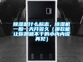 行業(yè)新聞除濕是什么標志，除濕機一般一天開多久（哪款能讓你跟曬不干的小內(nèi)內(nèi)說再見）