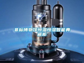 知識(shí)百科非標(biāo)博物館恒溫恒濕智能典藏柜