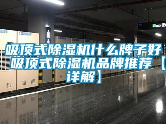 企業新聞吸頂式除濕機什么牌子好 吸頂式除濕機品牌推薦【詳解】