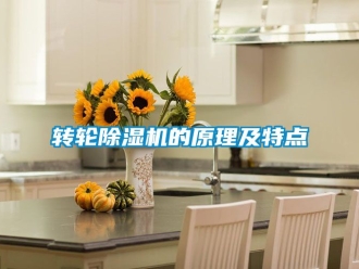 常見(jiàn)問(wèn)題轉(zhuǎn)輪除濕機(jī)的原理及特點(diǎn)