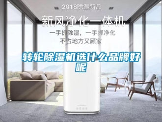 知識百科轉輪除濕機選什么品牌好呢