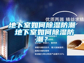 企業(yè)新聞地下室如何除濕防潮 地下室如何除濕防潮？