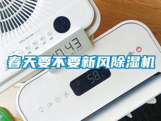 企業(yè)新聞春天要不要新風(fēng)除濕機