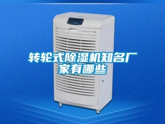 知識百科轉(zhuǎn)輪式除濕機知名廠家有哪些