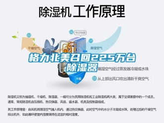 企業(yè)新聞格力北美召回225萬臺除濕器
