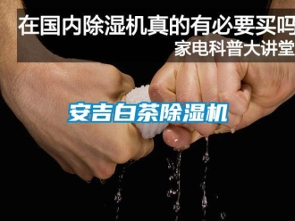 企業新聞安吉白茶除濕機
