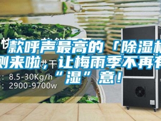 企業新聞8 款呼聲最高的「除濕機」評測來啦，讓梅雨季不再有“濕”意！