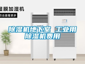 常見問題除濕機(jī)地下室 工業(yè)用除濕機(jī)費用