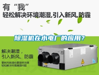 企業(yè)新聞除濕機(jī)在水電廠的應(yīng)用？