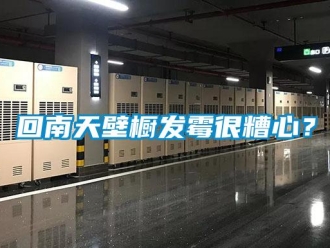 行業(yè)新聞回南天壁櫥發(fā)霉很糟心？
