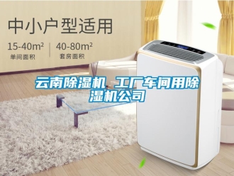企業(yè)新聞云南除濕機(jī) 工廠車間用除濕機(jī)公司