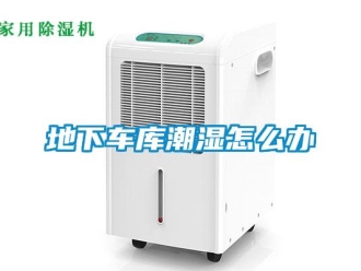 企業(yè)新聞地下車庫潮濕怎么辦