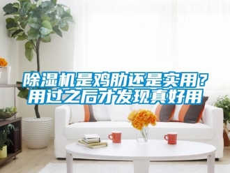 行業新聞除濕機是雞肋還是實用？用過之后才發現真好用