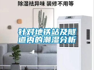 知識(shí)百科針對(duì)地鐵站及隧道內(nèi)的潮濕分析